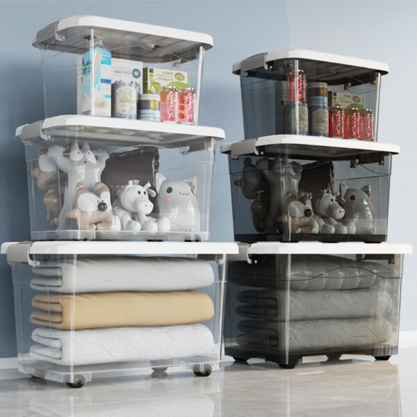 Plastic Transparent Storage with Lid