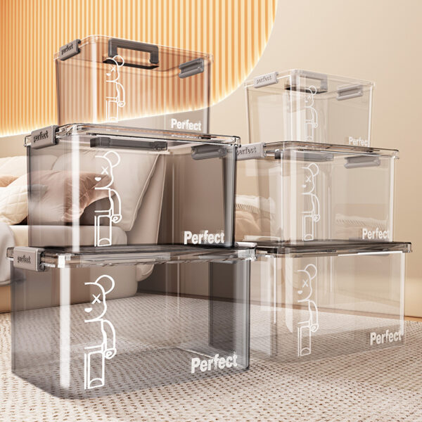 Exquisite Handheld Transparent Storage Boxes 1003