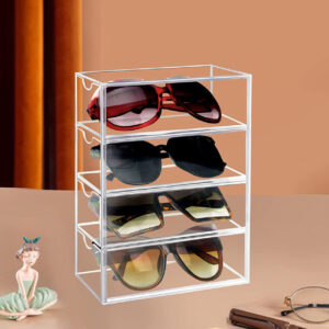 Transparent Visual Sunglasses Case 1001